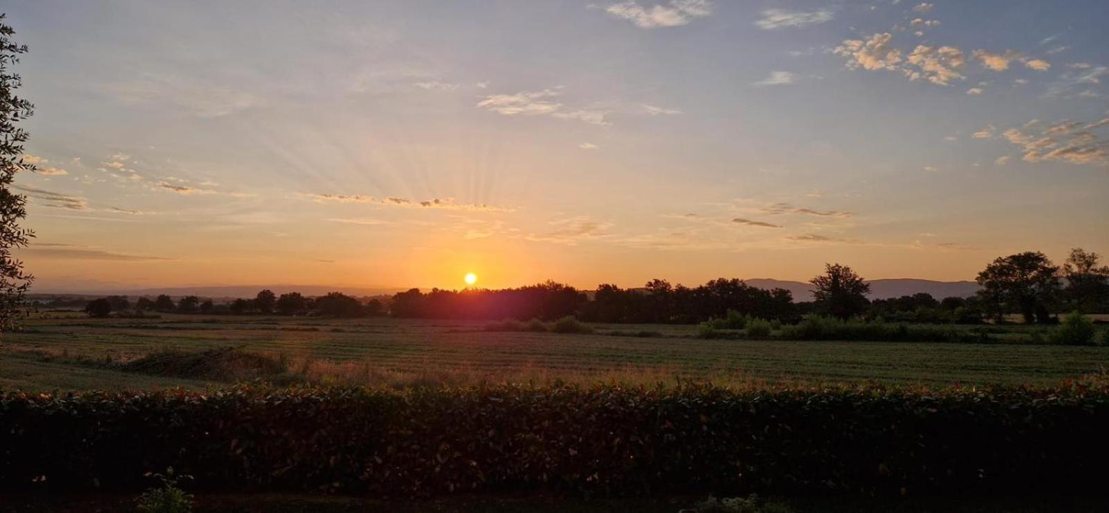 Agriturismo Il Canneto Casole d'Elsa Bagian luar foto