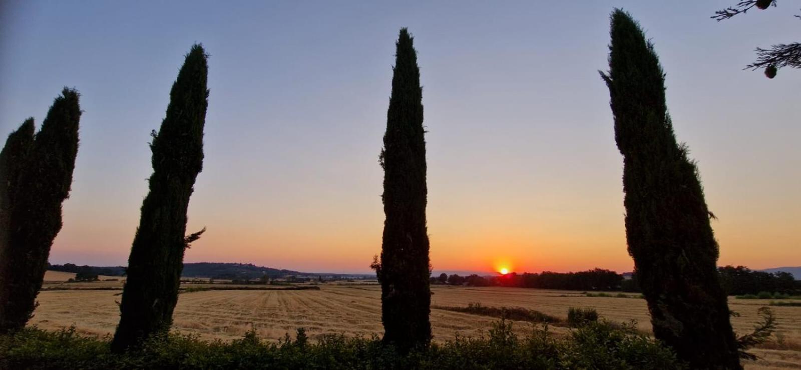 Agriturismo Il Canneto Casole d'Elsa Bagian luar foto